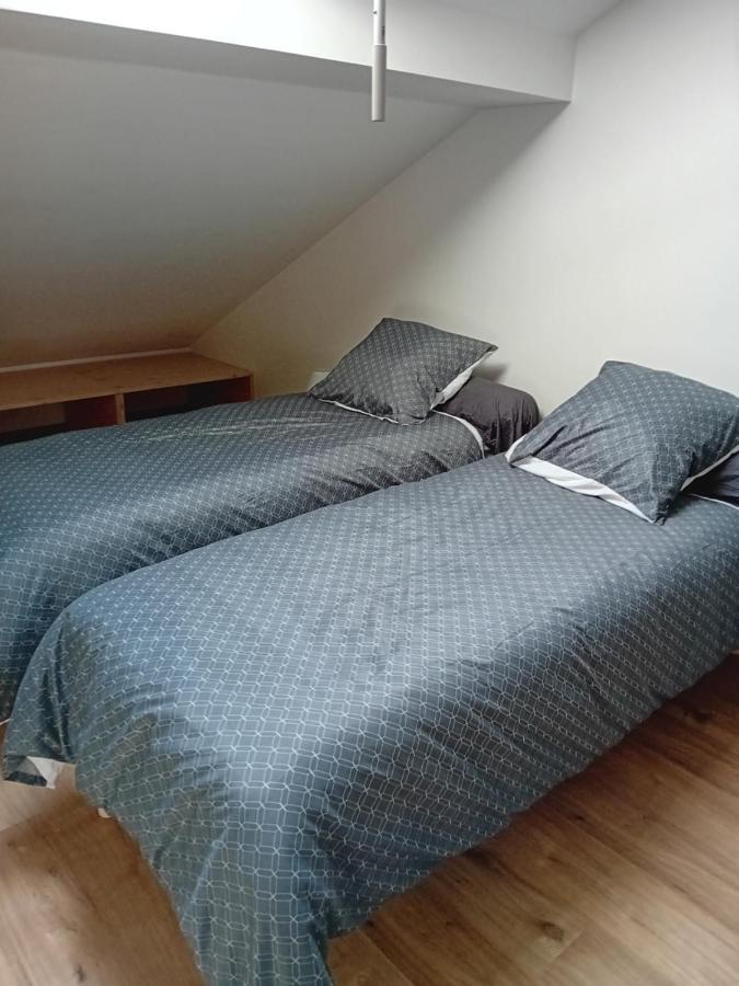Appartement La Bienvenue à Saint-Michel-sur-Meurthe Extérieur photo